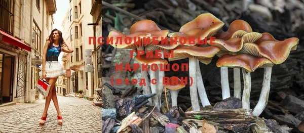 ALPHA PVP Алзамай