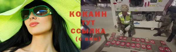 амф Алексеевка