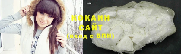 соль ск Алексин