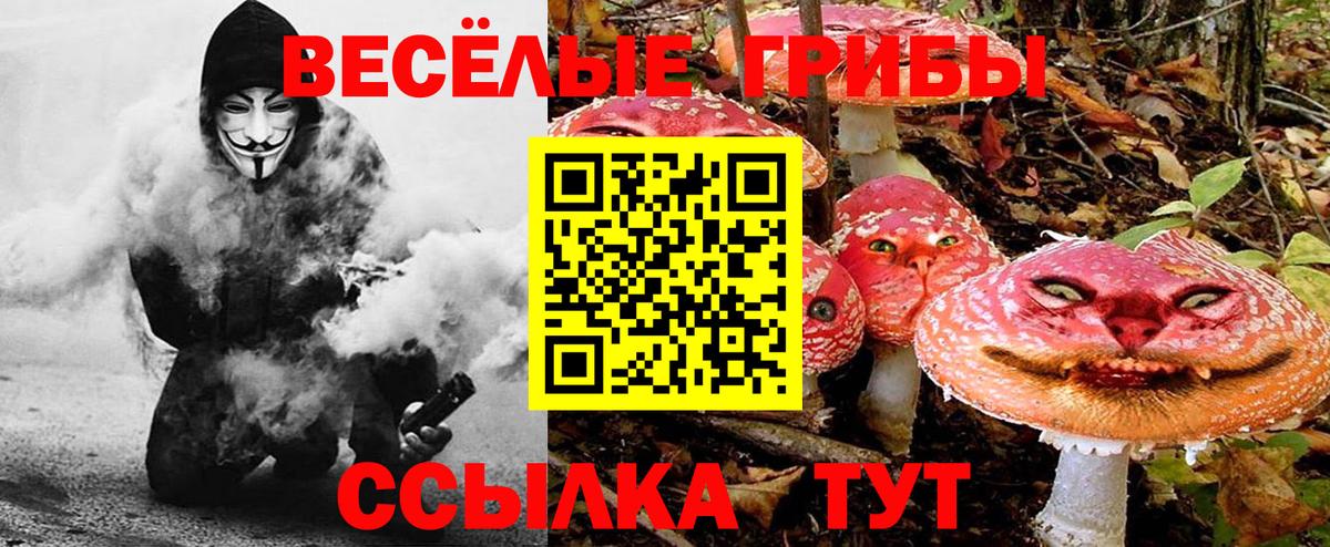 Арсеньев  Псилоцибиновые грибы Psilocybine cubensis  Вход с VPN  Галлюциногенные грибы GOLDEN TEACHER 